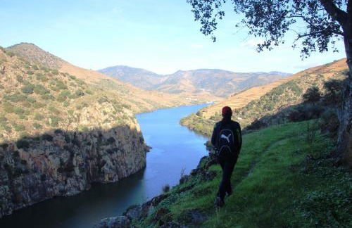 Douro Yacht Charter & Bungalows - Foto 36