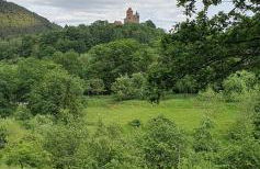 Ferienhaus Korn mitten im schönen Pfälzer Wald, Privat Haus - Foto 14