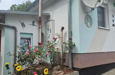 Yachthafen Karner Bootsverleih - Foto 3