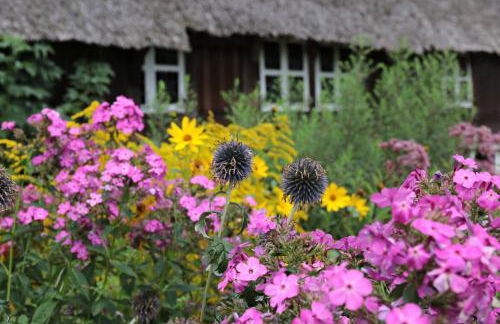 Ferienwohnungen / Ferienhaus Wahlers - Foto 15