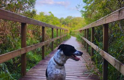 Charmosa Casa Praiana in Florianópolis - Photo 36
