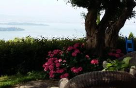 Villa La Moraiola - Foto 29