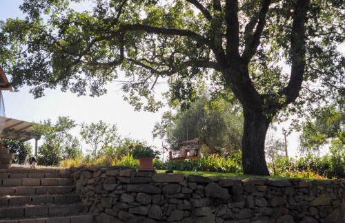 Il Poggetto di Barbara - Casa Bianca - Foto 18