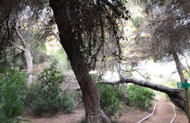 2 bedroom apartment amazing sea vieuw Dehesa de Campoamor Los Altos - Foto 19