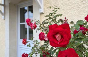 L'escale des roses - Photo 9