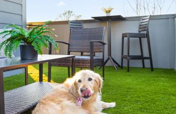 Golden Hour - A Southside Home - Foto 20