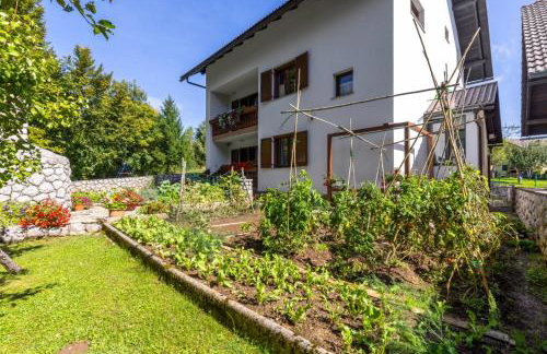 Apartaman Goga - Foto 13