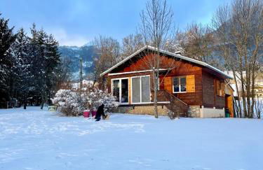 Chalet cosy dominant le village - Foto 69
