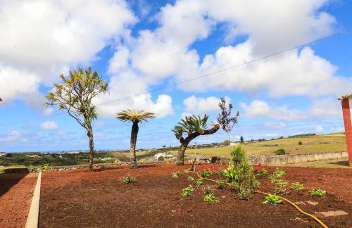 QUINTA DO FALCÃO - Foto 9