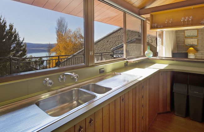 Grey Kangaroo- On Lake Jindabyne foreshore - Foto 11