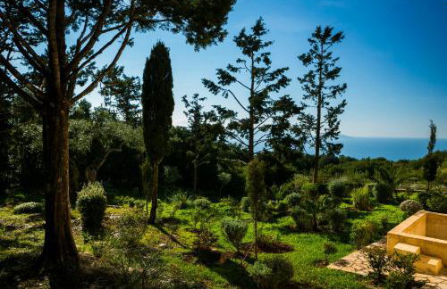 Villa Alkyoni - Foto 43