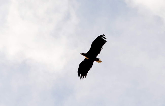 10 Person Holiday Home in Brattvag - Foto 30