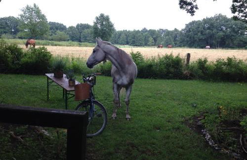 Blockhütte 35 km nördlich von Hamburg - Foto 38
