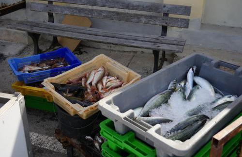 Studio Le Calypso les pieds dans l'eau 10 m mer - Foto 21