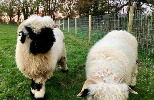 The Summerhouse, countryside retreat with private hot tub - Foto 33