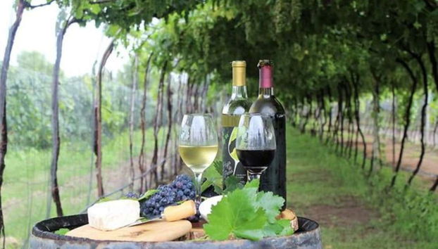 Vous dégusterez différents vins et fromages de Querétaro