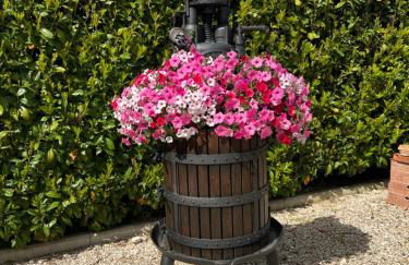 Assisi, la Noce - Foto 42