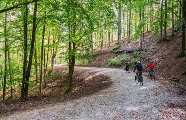 Castelvecchio Family Retreat - Photo 26