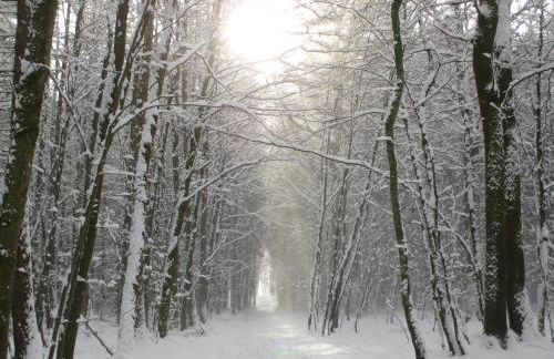 Lilias Ferienwohnung - Foto 25