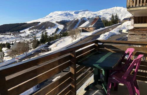 Lama-Gîte-des-Puys T3 Lamadalet, vue sud, terrasse, parking privé - Photo 19