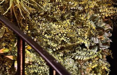 La Casa De Campo - Foto 23