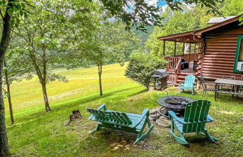 Bear Necessities - Photo 18