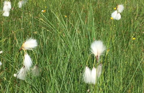 Landhaus Renata Bayrischzell - Foto 74