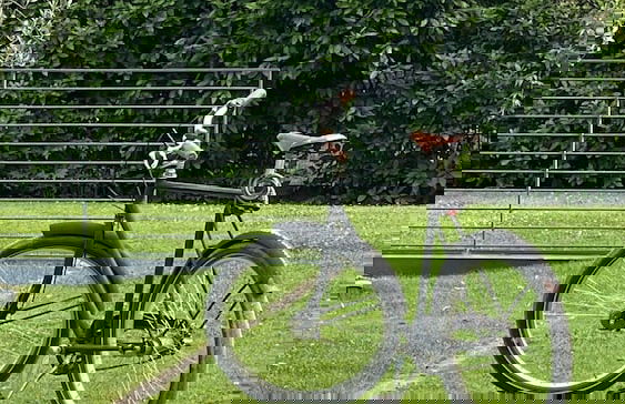 VIVERE suites and rooms - Photo 71