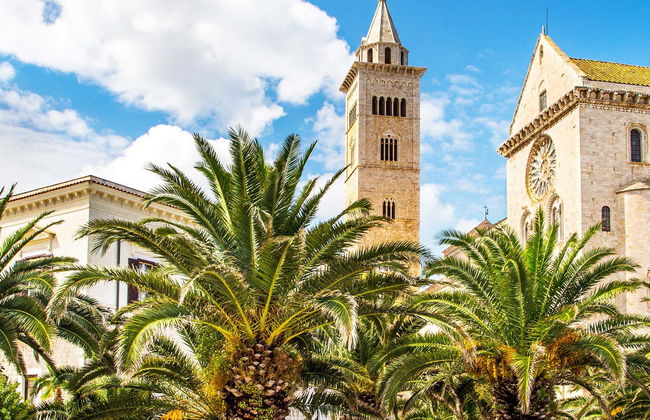 Trani Guided Tour - Photo 3