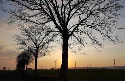 Ferienwohnung An der kleinen Schreinerei - Foto 44