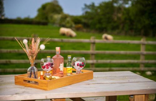 Seiriol, Modern Lodge with Games Room Access - Foto 35