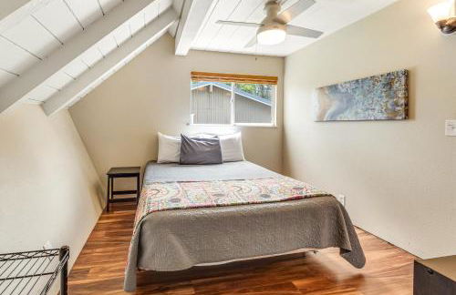 Sea Turtle Life - Photo 23