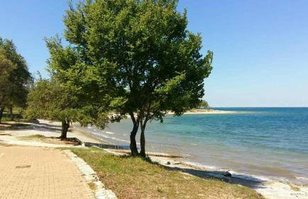 Apartman Daly - Foto 11