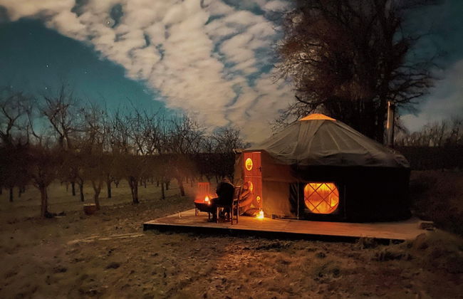 Dragon Orchard Retreat - Photo 1