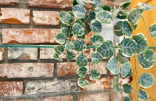 Zentral Wohlfühlen NO 1 - Foto 15