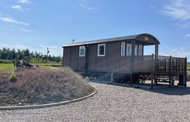 Acdc Glamping, Campervan , Caravan and Tent Resort - Foto 31