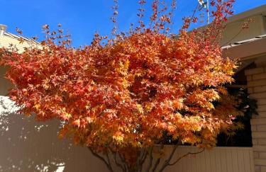 Luxury Yosemite Lake House - Foto 7