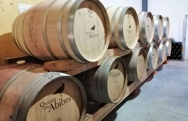 Bairrada Wine Region Tour - Photo 6