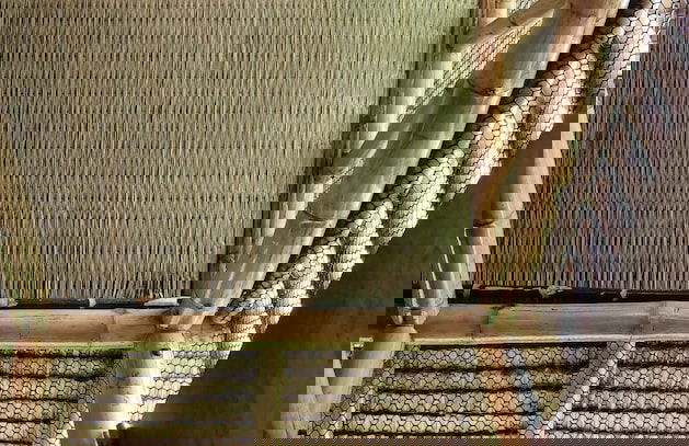 Bamboo Conservation Farm - Foto 48