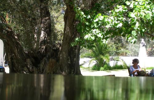 Menelaos Apartments - Foto 64