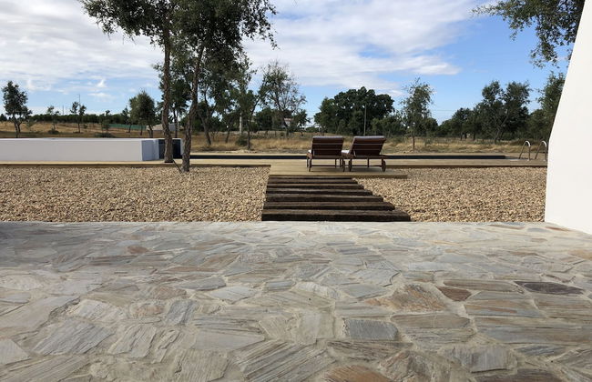 Tons da Terra - Foto 44