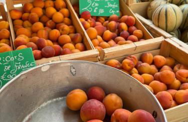 Villa BELVENTO, superbe villa au calme, piscine, vue incroyable ! - Photo 30