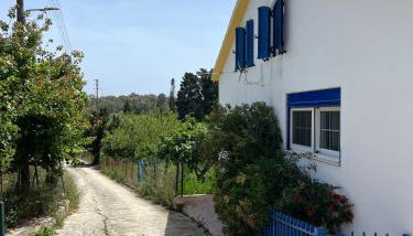 Village Guest House - Foto 2