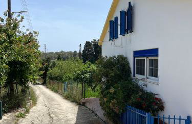 Village Guest House - Foto 2