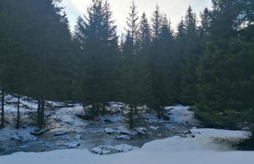 Ferienwohnungen Unterangerhof - Photo 30