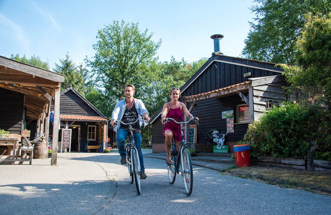 Vakantiepark De Wiltzangh - Foto 37