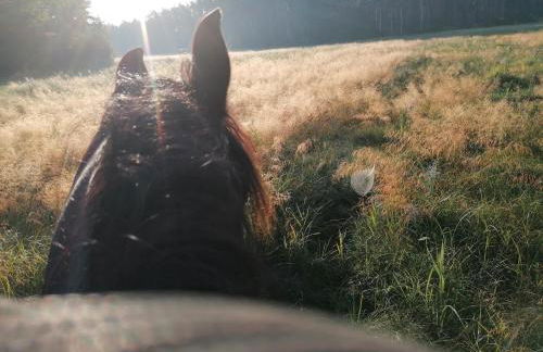 Weidmannsruh - große Ferienwohnung mit 3 Schlafzimmern - Foto 8