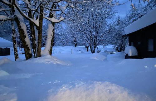 Nickis Bergcamp - Foto 58