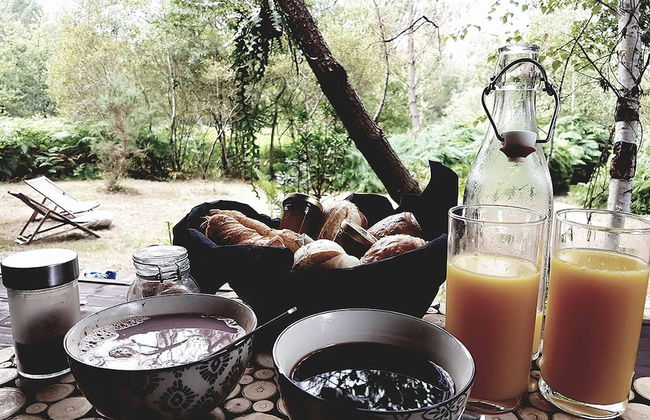 Les Landines - Foto 33