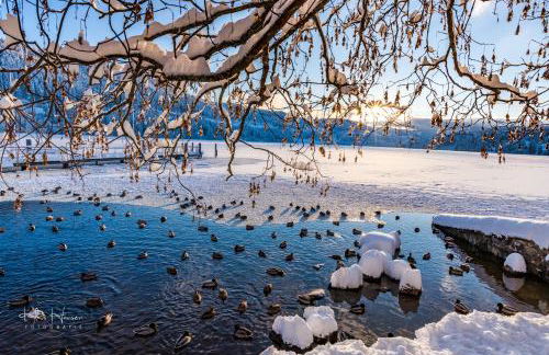 Gästehaus Seewald- Ferienwohnung 4 "Lärche", Schluchsee, Blasiwald - Foto 23